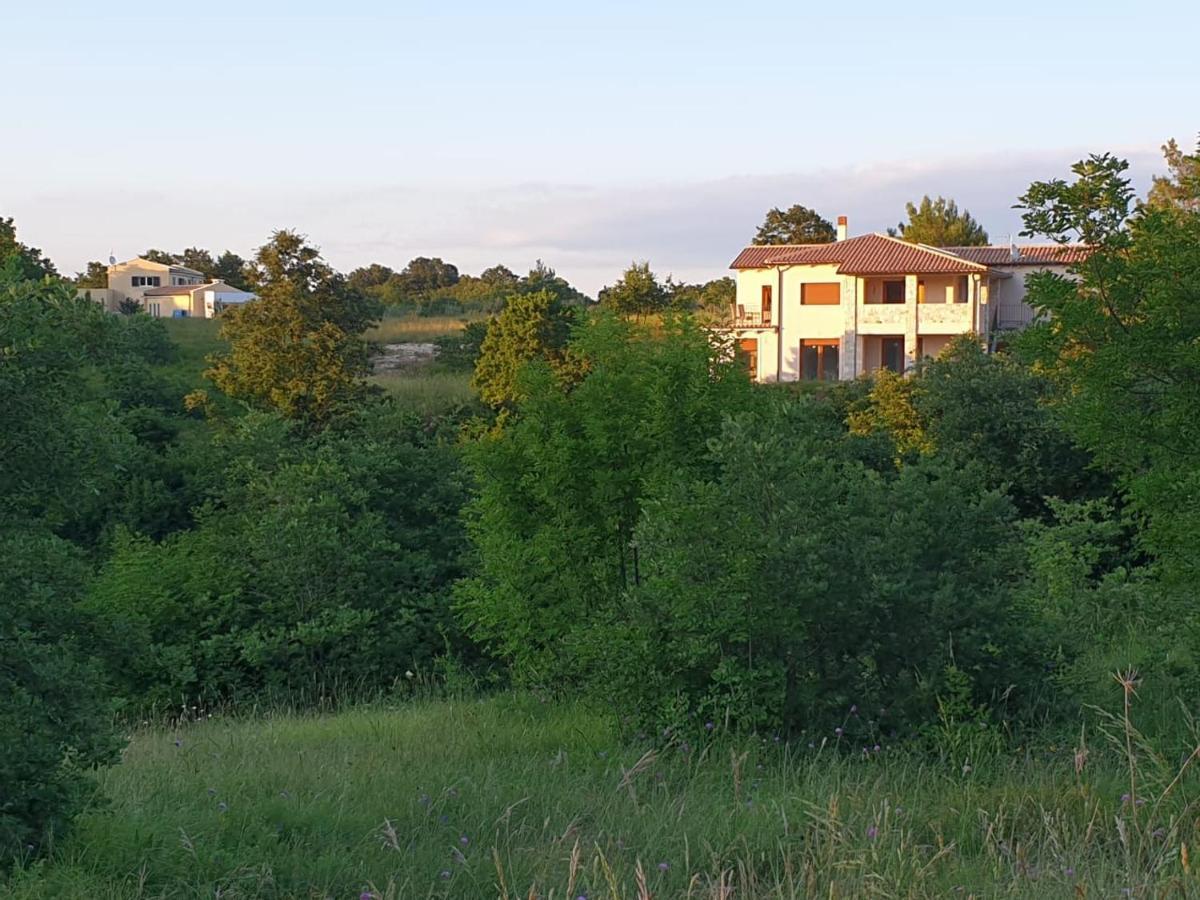 Villa Istra Divsici Exterior photo